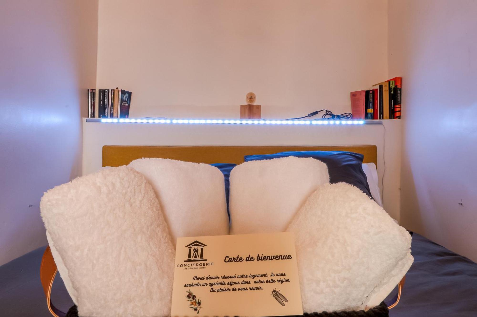 Le Vintage, Appart,Hotel Particulier, Centre Nimes Maisoncarreeconciergerie 外观 照片